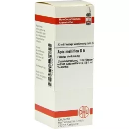 APIS MELLIFICA D6 Fortynding, 20 ml