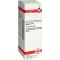 ARNICA D4-fortynding, 20 ml