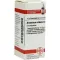ARSENICUM ALBUM D 30 kugler, 10 g
