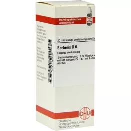 BERBERIS D6 Fortynding, 20 ml