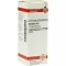 BERBERIS D6 Fortynding, 20 ml
