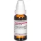 BERBERIS D6 Fortynding, 20 ml