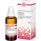 BERBERIS D4-fortynding, 50 ml