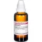 BERBERIS D4-fortynding, 50 ml