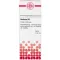 BERBERIS D6 Fortynding, 50 ml
