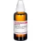 BERBERIS D6 Fortynding, 50 ml