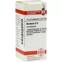 BERBERIS D 4 kugler, 10 g