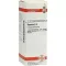 BRYONIA D4-fortynding, 20 ml