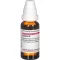 CACTUS D 2 Fortynding, 20 ml