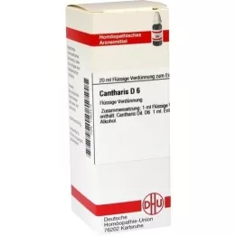 CANTHARIS D6 Fortynding, 20 ml