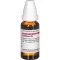 CANTHARIS D6 Fortynding, 20 ml
