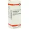 CHAMOMILLA D 30 Fortynding, 20 ml