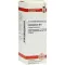 CHELIDONIUM D6 Fortynding, 20 ml