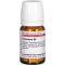 CINNABARIS D 6 tabletter, 80 stk