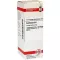 COLCHICUM D6 Fortynding, 20 ml