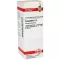 COLOCYNTHIS D4-fortynding, 20 ml