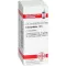 COLOCYNTHIS D 6 kugler, 10 g