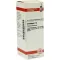 CRATAEGUS D 2 Fortynding, 20 ml
