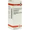 HAMAMELIS D 2 Fortynding, 20 ml