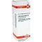 LUFFA OPERCULATA D6 Fortynding, 20 ml