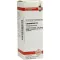 LYCOPODIUM D4-fortynding, 20 ml
