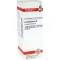 LYCOPODIUM D6 Fortynding, 20 ml
