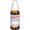 LYCOPODIUM D6 Fortynding, 20 ml