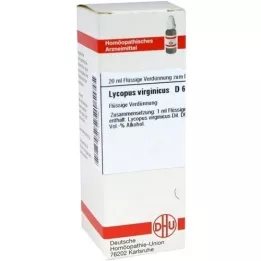 LYCOPUS VIRGINICUS D6 Fortynding, 20 ml