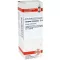LYCOPUS VIRGINICUS D6 Fortynding, 20 ml