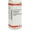 PHOSPHORUS D6 Fortynding, 20 ml