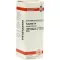PULSATILLA D6 Fortynding, 20 ml