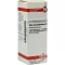 RHUS TOXICODENDRON D6 Fortynding, 20 ml