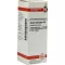 SECALE CORNUTUM D6 Fortynding, 20 ml