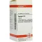 SPONGIA D 6 tabletter, 80 stk
