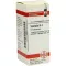 SPONGIA D 4 kugler, 10 g
