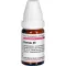 SPONGIA D 6 kugler, 10 g