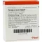 GINGIVA SUIS Injeel-ampuller, 10 stk