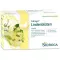 SIDROGA Lindeblossom tefilterposer, 20X1,8 g