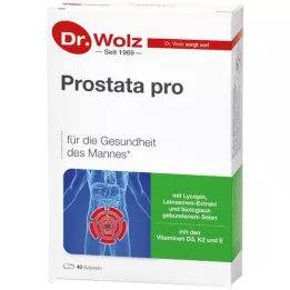 PROSTATA PRO Dr.Wolz kapsler, 2x20 stk