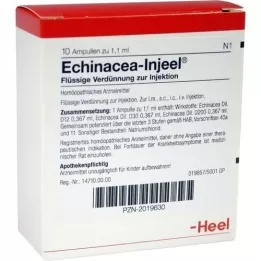 ECHINACEA INJEEL Ampuller, 10 stk