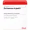 ECHINACEA INJEEL Ampuller, 10 stk