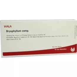 BRYOPHYLLUM COMP.Ampuller, 10X1 ml