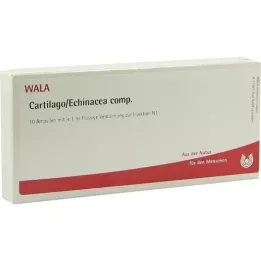 CARTILAGO/Echinacea comp. Ampuller, 10X1 ml