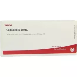 CONJUNCTIVA komp. ampuller, 10X1 ml