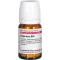 HYPERICUM D 30 tabletter, 80 stk