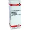 HYPERICUM D6 Fortynding, 20 ml