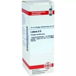 LEDUM D6 Fortynding, 20 ml