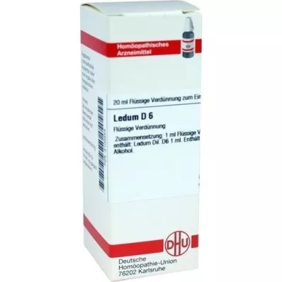 LEDUM D6 Fortynding, 20 ml