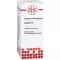 LEDUM D6 Fortynding, 20 ml