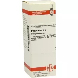 PHYTOLACCA D6 Fortynding, 20 ml